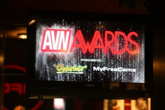 avn_2017_awards019 