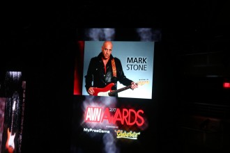 avn_2017_awards045