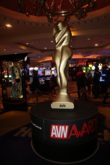 avn_2017_awards156     