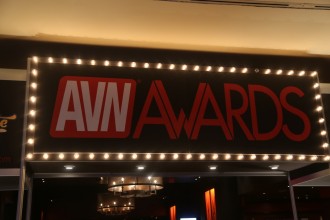 avn_2017_awards157     