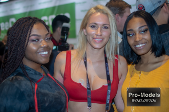 avn_2019_045   