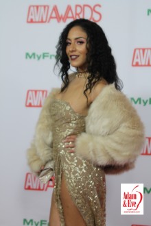 avn_red_carpet_2019-313