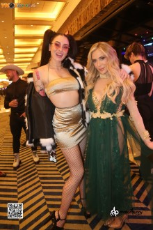 avn2023_day2_414