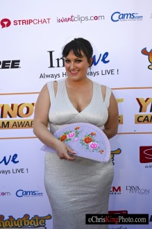ynotawards_hollywood19_chrisking017