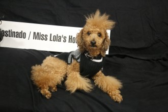 exxotica_nj2017_day1_001_107