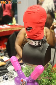 exxxotica_dc_22_day2_327