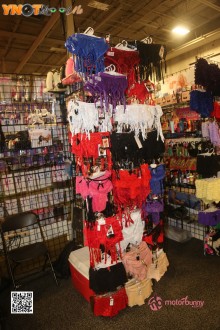 exxxotica_dc_22_day2_344