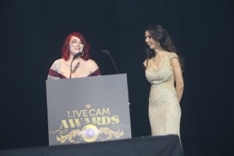 teslibson18_awards_369