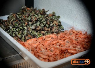 spain19_awdinner_036