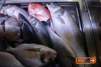 spain19_awdinner_038