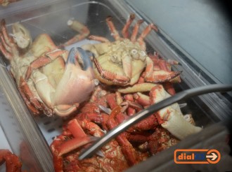 spain19_awdinner_039