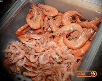 spain19_awdinner_040