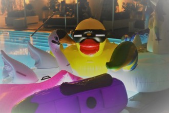 xbizmiami18_awards_363       