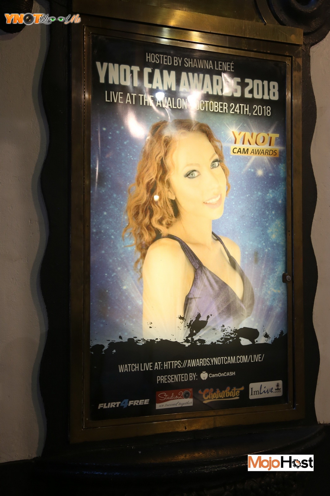 Ynot Cam Awards